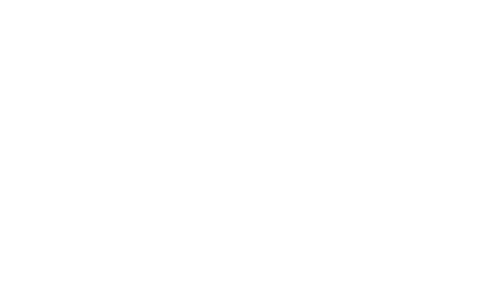 Slider Bin Aleman Descr