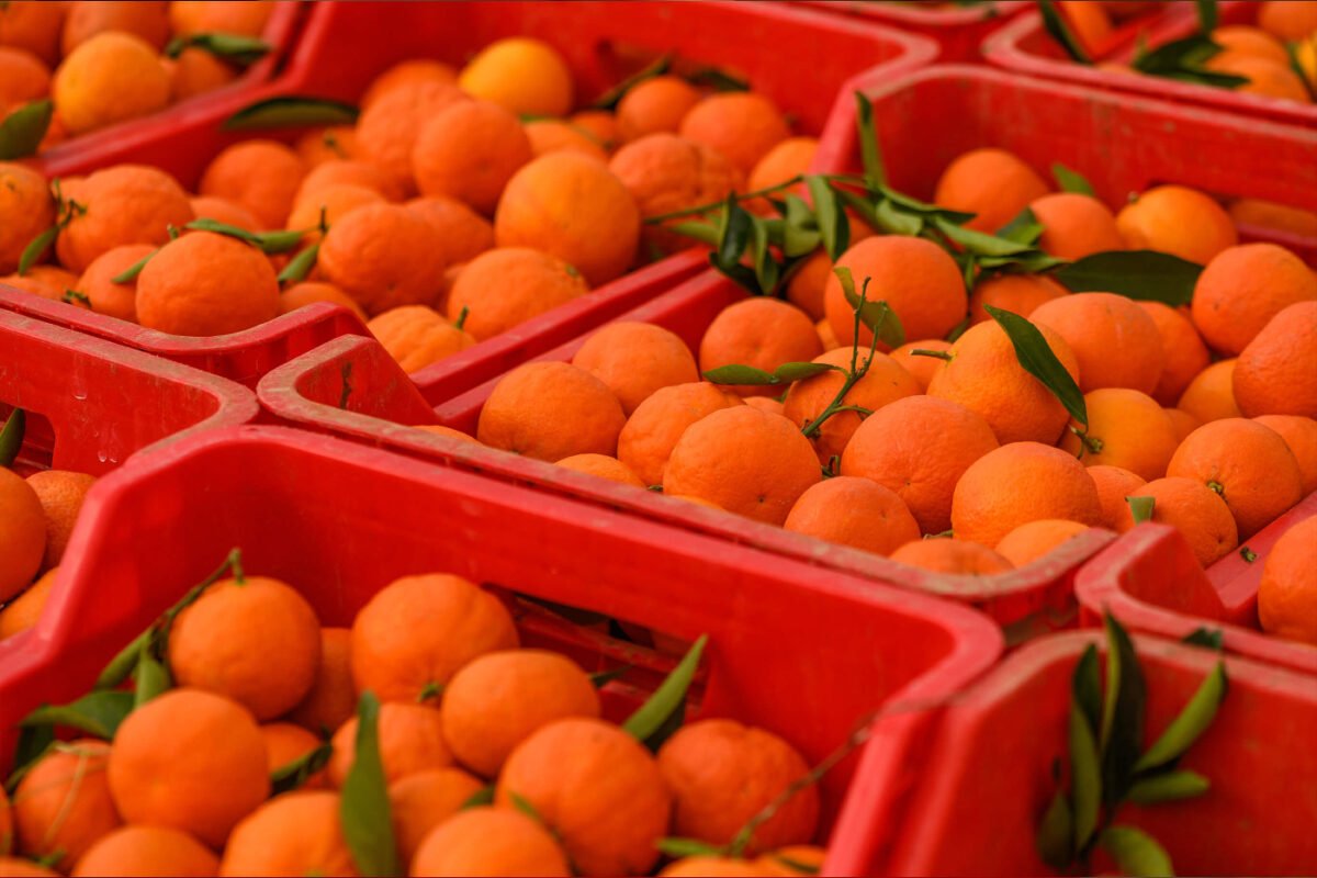 caja de plastico para frutas