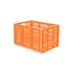 10 04 2024 06 15 29 665 VEU0061.002.png
