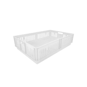 10 04 2024 06 16 05 853 VEU0091.003.png